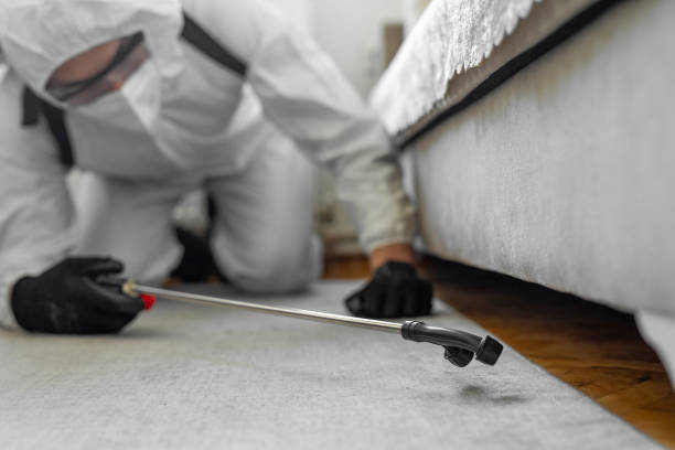 Professional Bed Bug Control technician working in Pike County County, IL
